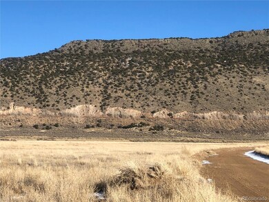 000 Brooks Rd, Sangre de Cri, CO 81133 - photo 3