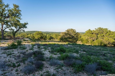 10415 Doherty Springs, San Antonio, TX 78255 - photo 5