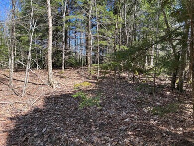 Map34Lot1 West St, Jefferson, ME 04348 - photo 4