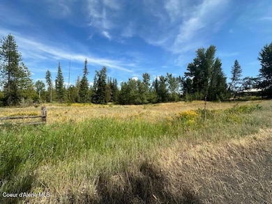 77523 State Highway 3, Saint Maries, ID 83861 - photo 4