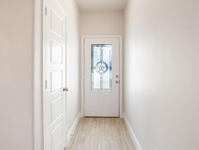 3017 Brazos River Dr, Granbury, TX 76048 - photo 4