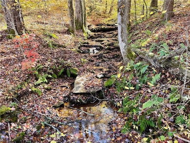 221 Centennial Farm Ln, Otego, NY 13825 - photo 7