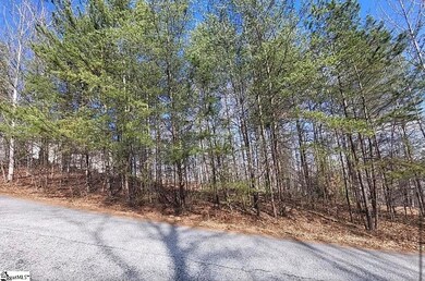 106 Heritage Woods Trail, Marietta, SC 29661 - photo 6