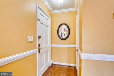 3359 S Wakefield St unit A2, Arlington, VA 22206 - photo 7