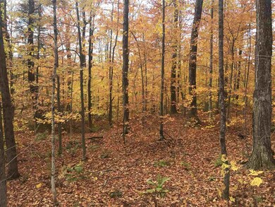 105 Slawson Rd, Weston, VT 05161 - photo 5