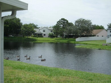 Pond View