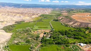 10341 Tongue Creek Rd, Austin, CO 81410 - photo 4