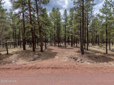 7454 E Robin Hood Rd, Parks, AZ 86046 - photo 5