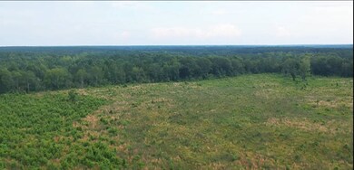 0 Hammond Rd unit 11549597, Monticello, MS 39654 - photo 4