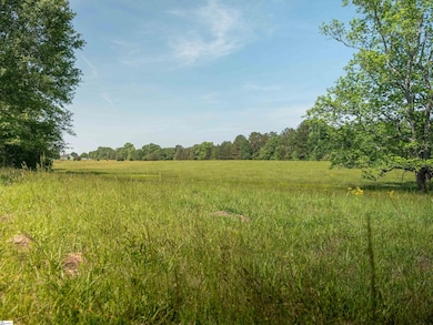 00 Holliday Dam Rd, Honea Path, SC 29654 - photo 5