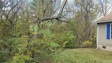 102 Brooklyn Rd, Asheville, NC 28803 - photo 5