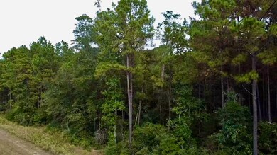 11-29-30 Grey Feather Rd, Huntsville, TX 77340 - photo 7