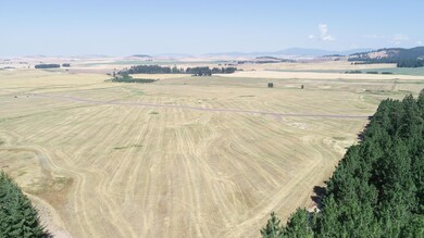 Pebblestone Dr, Plummer, ID 83851 - photo 5