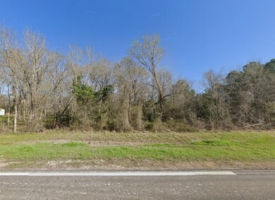 County Rd, Navasota, TX 77868 - photo 7