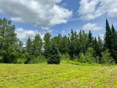 0 Rt 14 unit 4918518, Albany, VT 05820 - photo 6