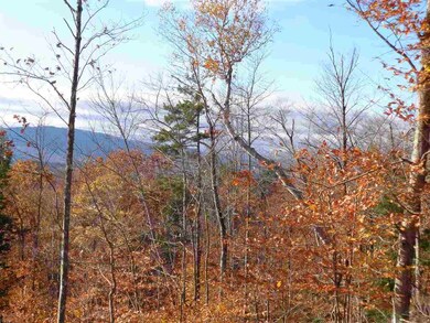 Lot 12 Dick Brown Rd, Bristol, NH 03222 - photo 6