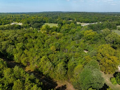 0 Hwy 167 N, Cave City, AR 72521 - photo 7