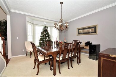 460 Walnut Ridge Trail, Aurora, OH 44202 - photo 6