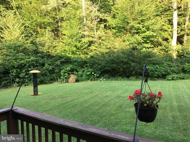 116 Mcknight St, Gordon, PA 17936 - photo 5