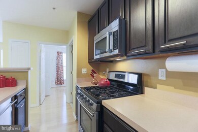 9666 Devedente Dr unit 105, Owings Mills, MD 21117 - photo 6