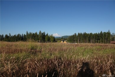 17910 Fennel Rd SE, Yelm, WA 98597 - photo 3