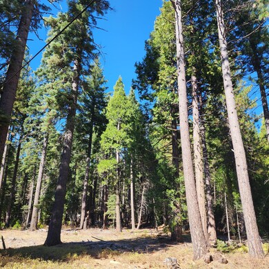 0 Ca-44 unit 25-4746, Shingletown, CA 96088 - photo 3