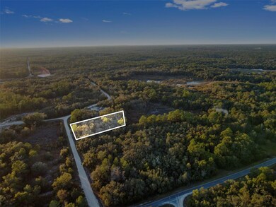 0 Riverstone St unit MFRTB8448266, Webster, FL 33597 - photo 5