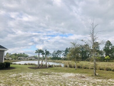 1269 Lillibridge Dr, Leland, NC 28451 - photo 3