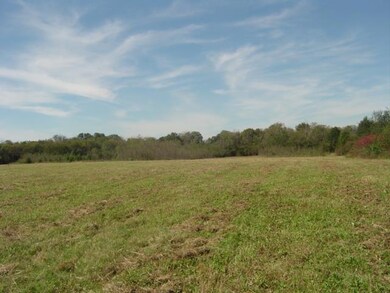 0 Philpot Rd unit 1874190, Bell Buckle, TN 37020 - photo 3