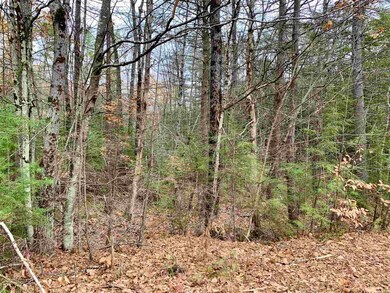 0 Mary Rowe Dr, Hillsboro, NH 03244 - photo 4