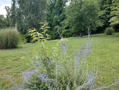 125 Utah St, Johnson City, TN 37601 - photo 5