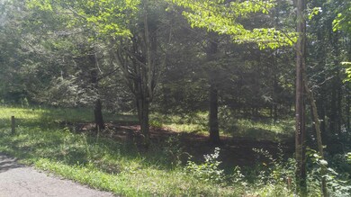 20170713_113147_HDR_resized