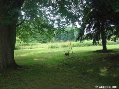 Backyard Backyard to open fields