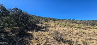 20202016s No Name Rd, Williams, AZ 86046 - photo 4