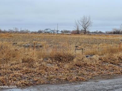 550 Wade Ln, Fallon, NV 89406 - photo 3