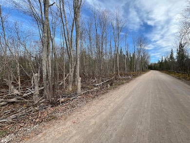 15488 Paradise Lake Rd, Carp Lake, MI 49718 - photo 5