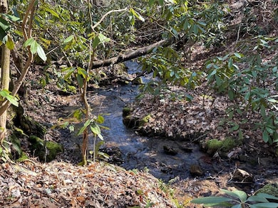 LT 7 Valley View Heights Ln, Andrews, NC 28901 - photo 3