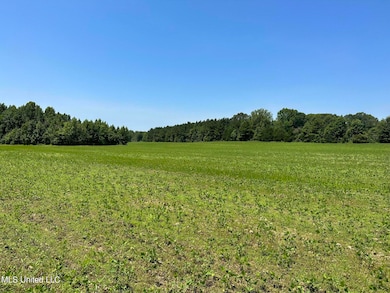 Field