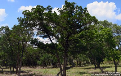 20711 Blue Quail Run, San Antonio, TX 78256 - photo 3