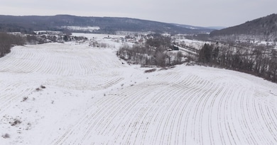 0 County Road 32 unit 22865075, Norwich, NY 13815 - photo 4