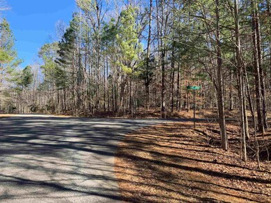 Lot # 28 Lauren Ct, Pittsboro, NC 27312 - photo 5