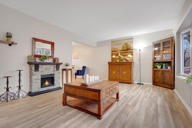 4743 104th Ave NE, Circle Pines, MN 55014 - photo 2