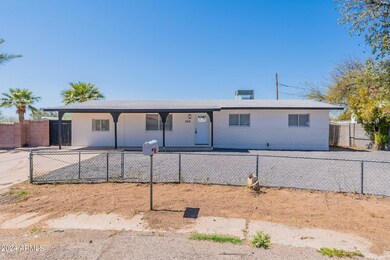 4-web-or-mls-Pinyon-4