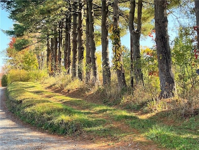 Driveway At Daisy Lane Intersection With Harper Road