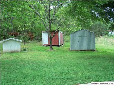Storage buildings in back yard