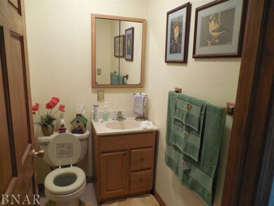 202 S 7th Ave, Chenoa, IL 61726 - photo 3