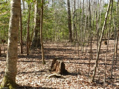 00 Nc Highway 134, Asheboro, NC 27205 - photo 4