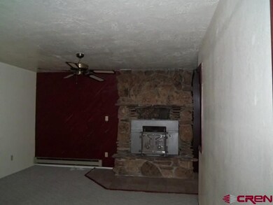 265 NW 10th St, Cedaredge, CO 81413 - photo 6