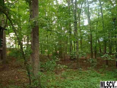 346 Kennington Ln, Statesville, NC 28625 - photo 4