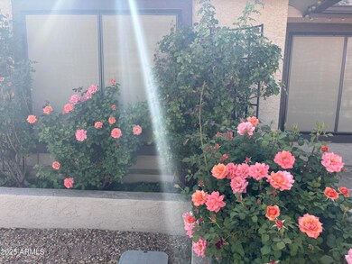 image0 (38)